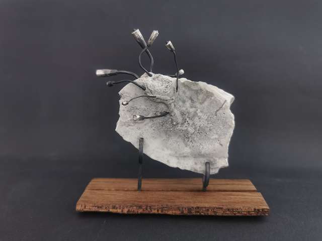 k-IMG_20260301_150921