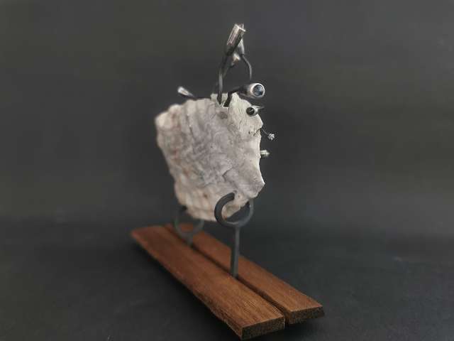 k-IMG_20260301_150947