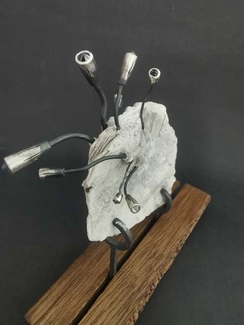 k-IMG_20260301_151010