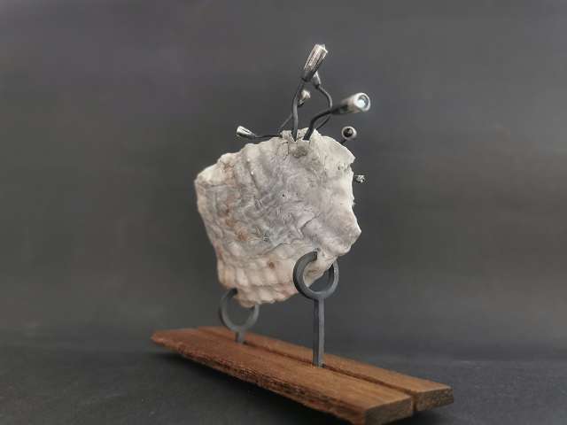 k-IMG_20260301_151045