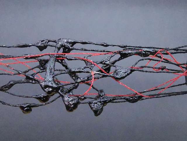 k-IMG_20260320_141524_edit_208374223145279